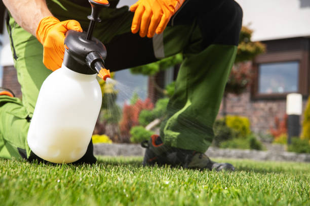 Reliable Durango, CO Pest Control Solutions